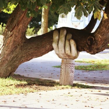 Zu sehen ist ein Baum, der etwas schief wächst und dabei von einer großen aus Holz modellierten Hand gestützt wird.